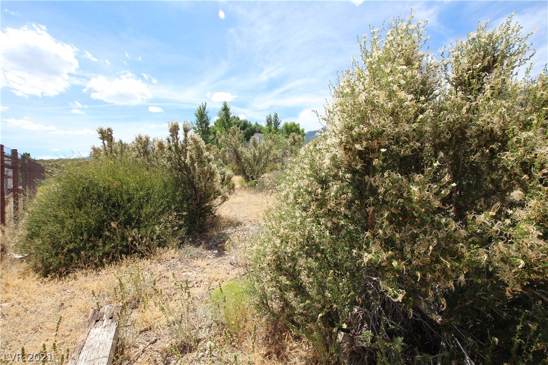 34 Cedar Road Cold Creek, NV 89124 - Photo 9 of 50 Gallery Image 9