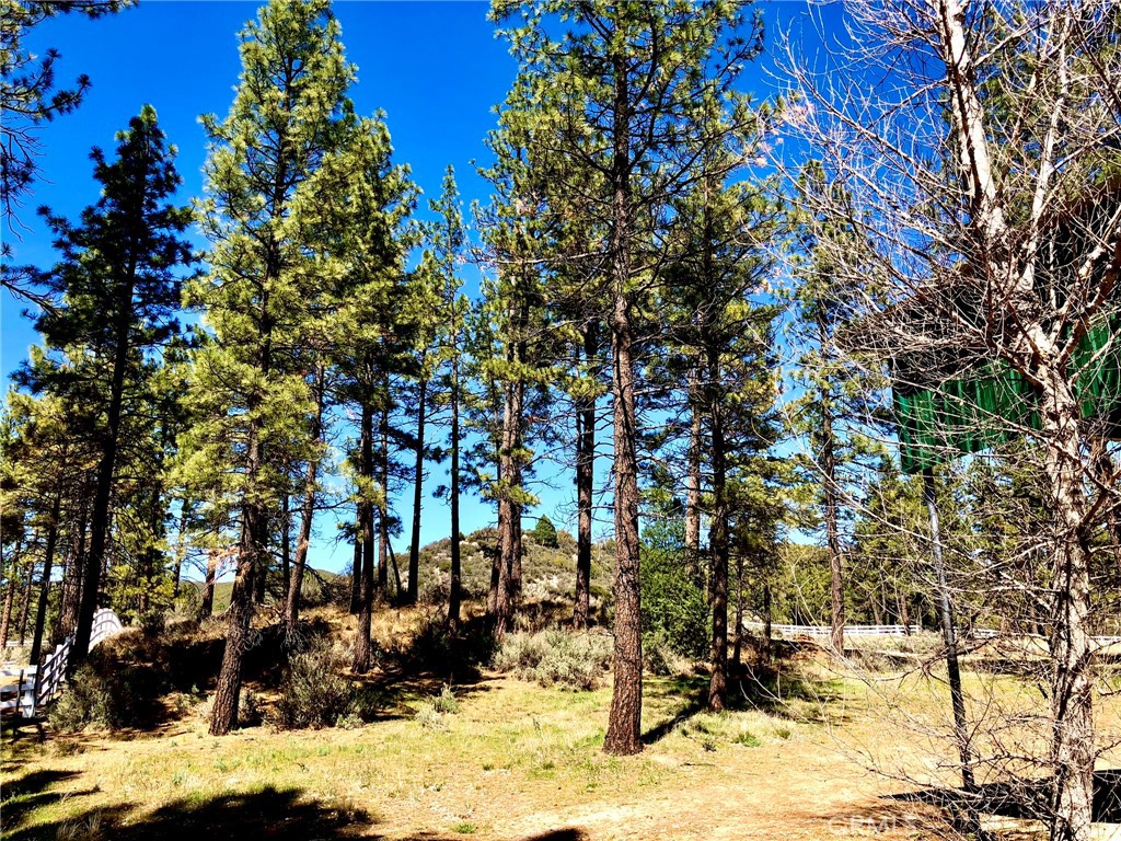 0 Butterfly Peak Road Mountain Center, CA 92561 - Photo 12 of 21