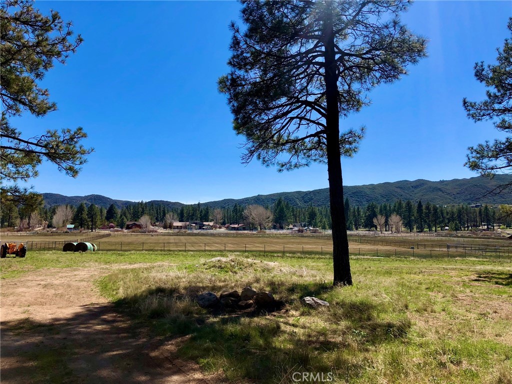 0 Butterfly Peak Road Mountain Center, CA 92561 - Photo 16 of 21