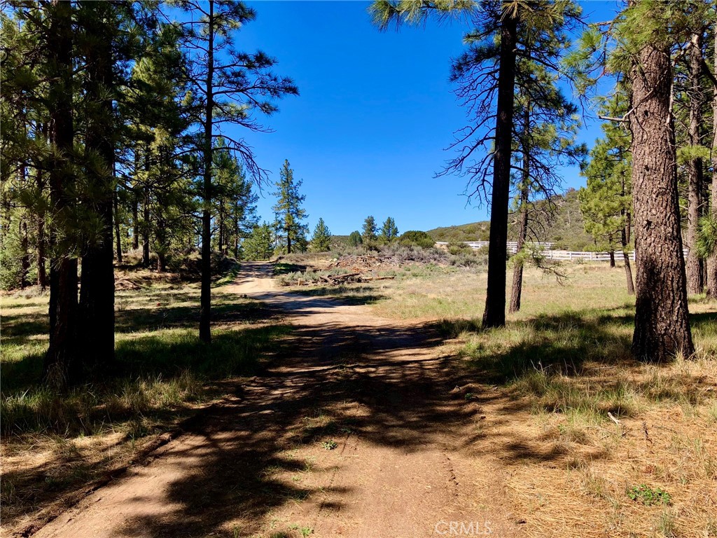 0 Butterfly Peak Road Mountain Center, CA 92561 - Photo 17 of 21