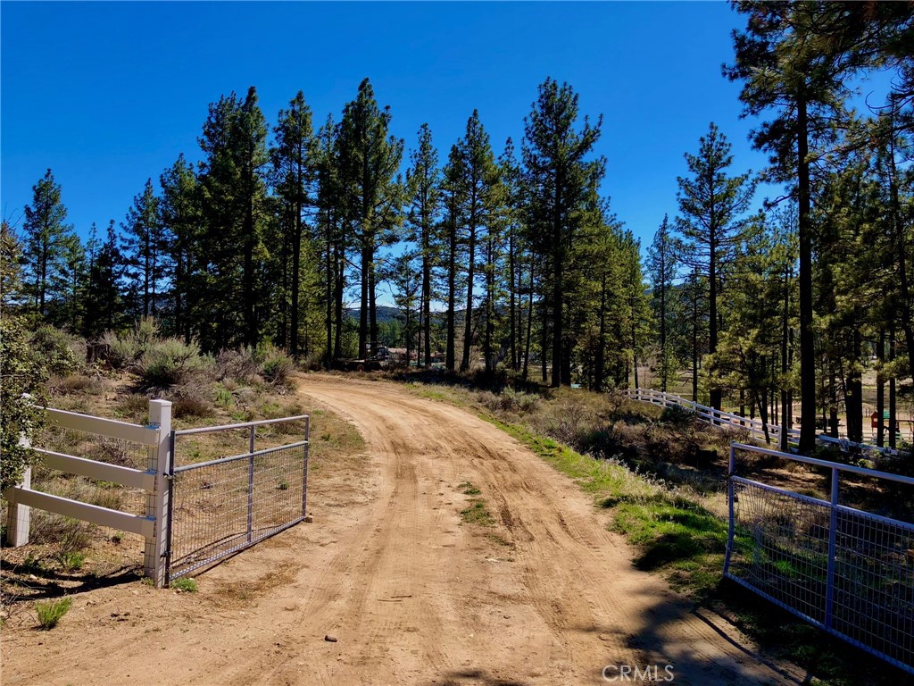 0 Butterfly Peak Road Mountain Center, CA 92561 - Photo 20 of 21