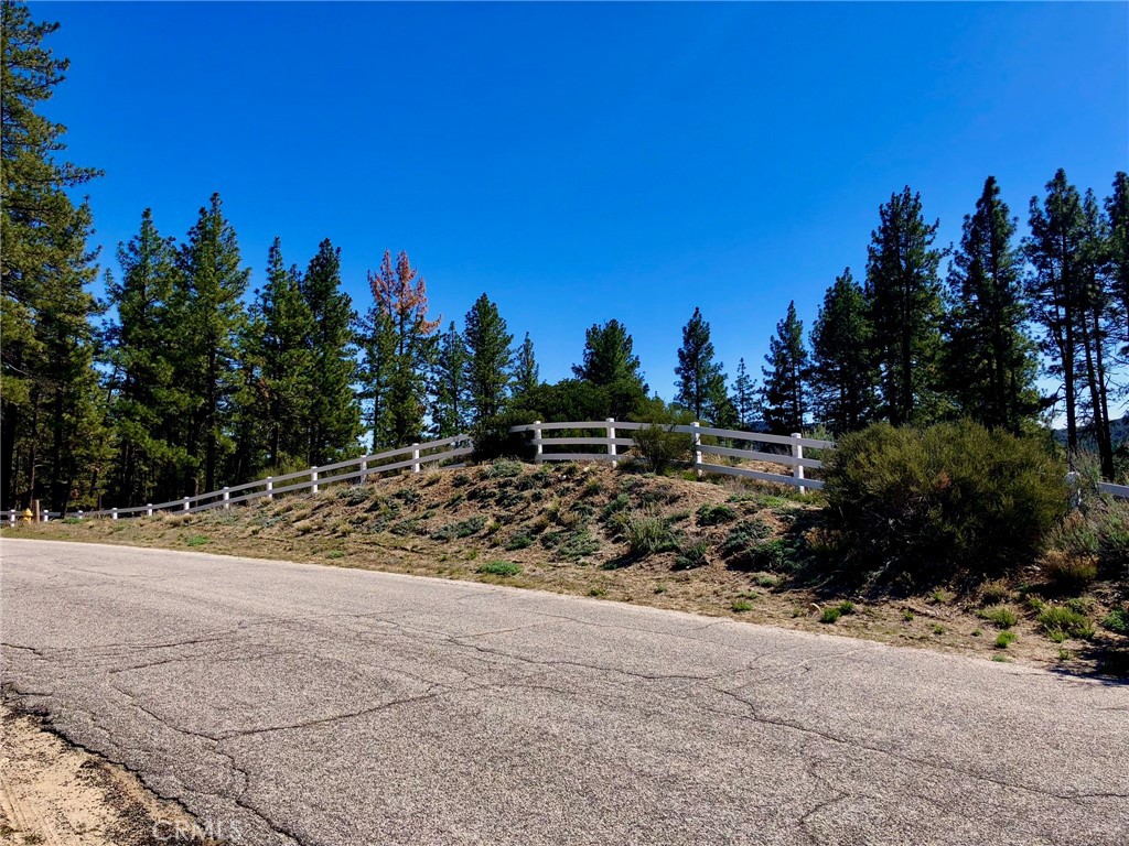 0 Butterfly Peak Road Mountain Center, CA 92561 - Photo 21 of 21