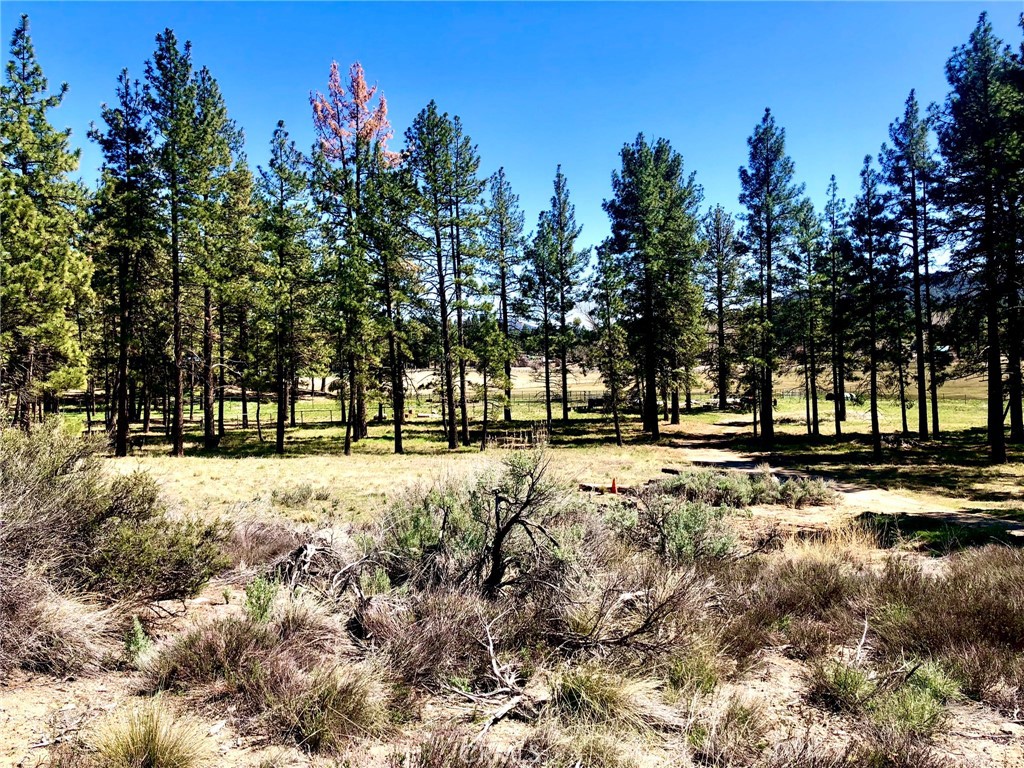 0 Butterfly Peak Road Mountain Center, CA 92561 - Photo 4 of 21