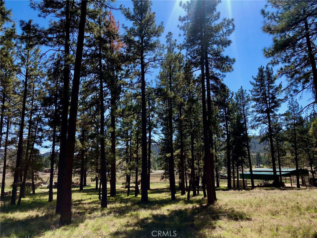 0 Butterfly Peak Road Mountain Center, CA 92561 - Photo 5 of 21