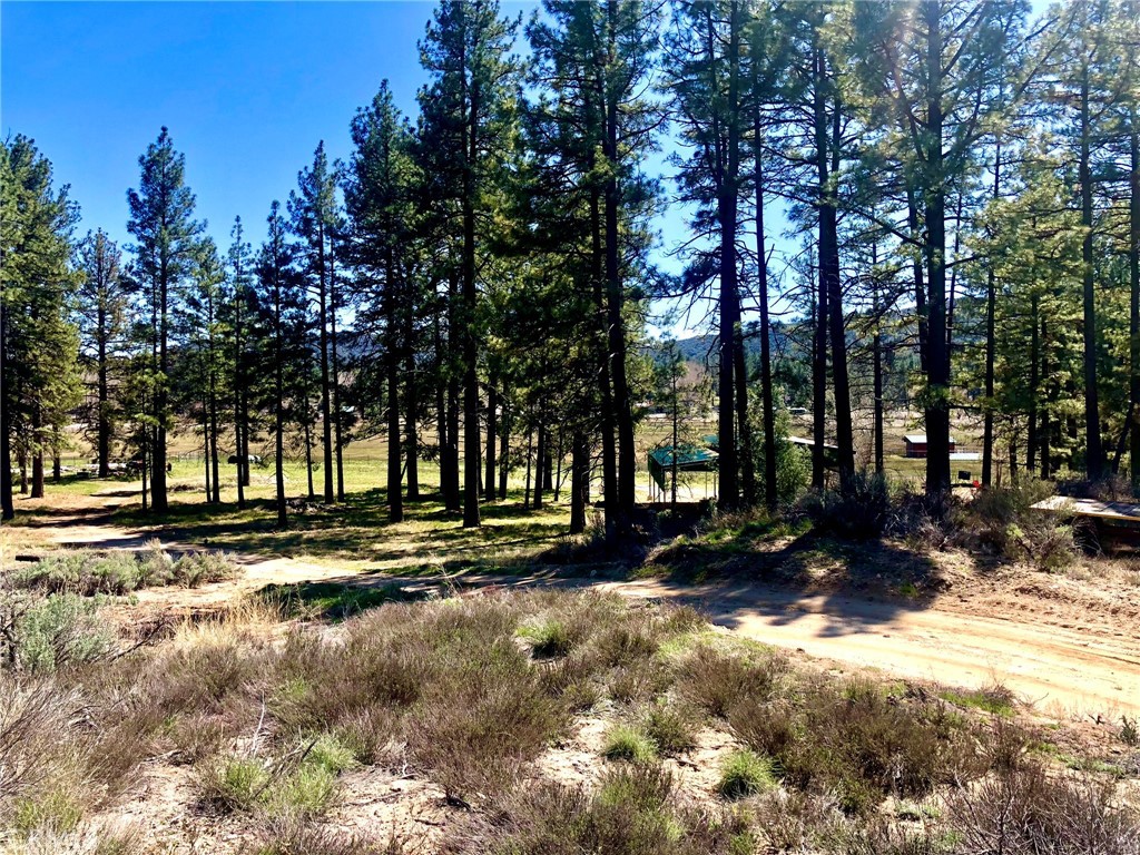 0 Butterfly Peak Road Mountain Center, CA 92561 - Photo 7 of 21