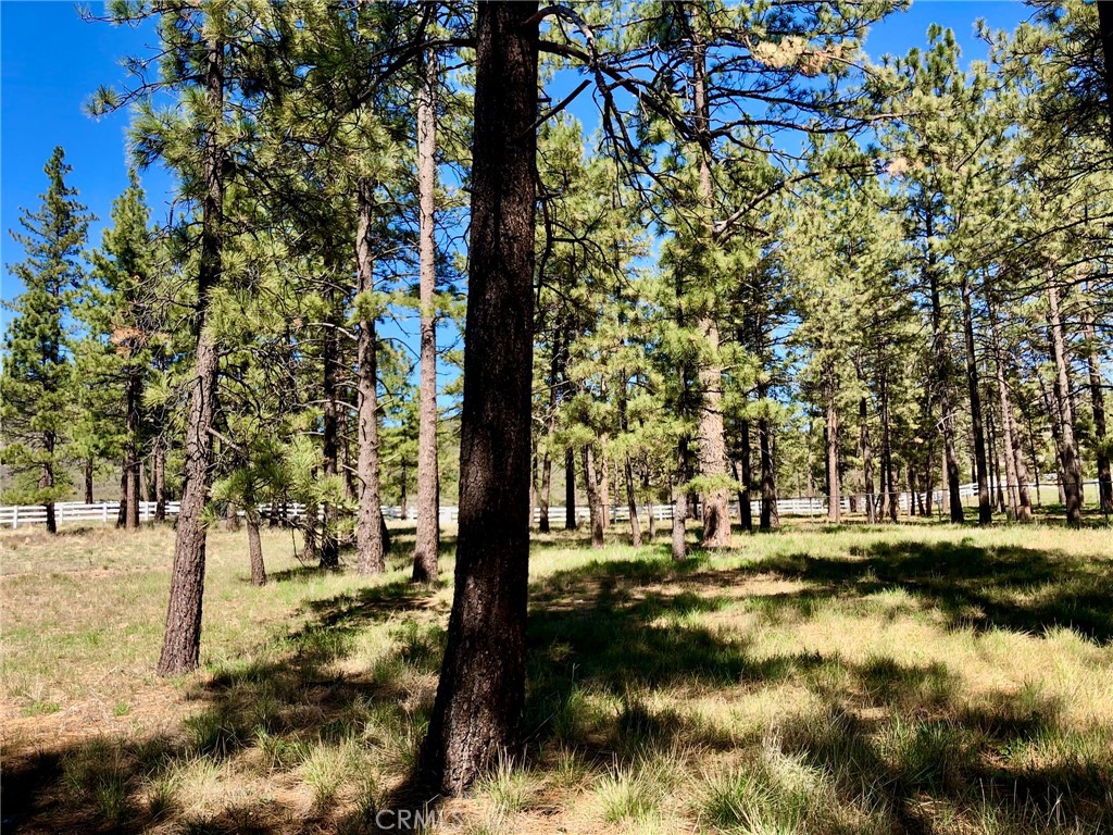 0 Butterfly Peak Road Mountain Center, CA 92561 - Photo 8 of 21