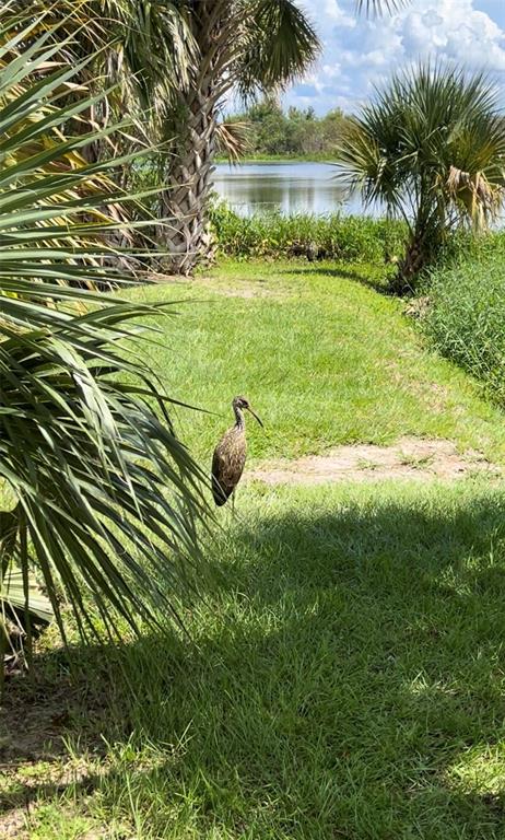 5915 Ave F McIntosh, FL 32664 - Photo 52 of 52 a backyard of a house with lots of green space and lake view