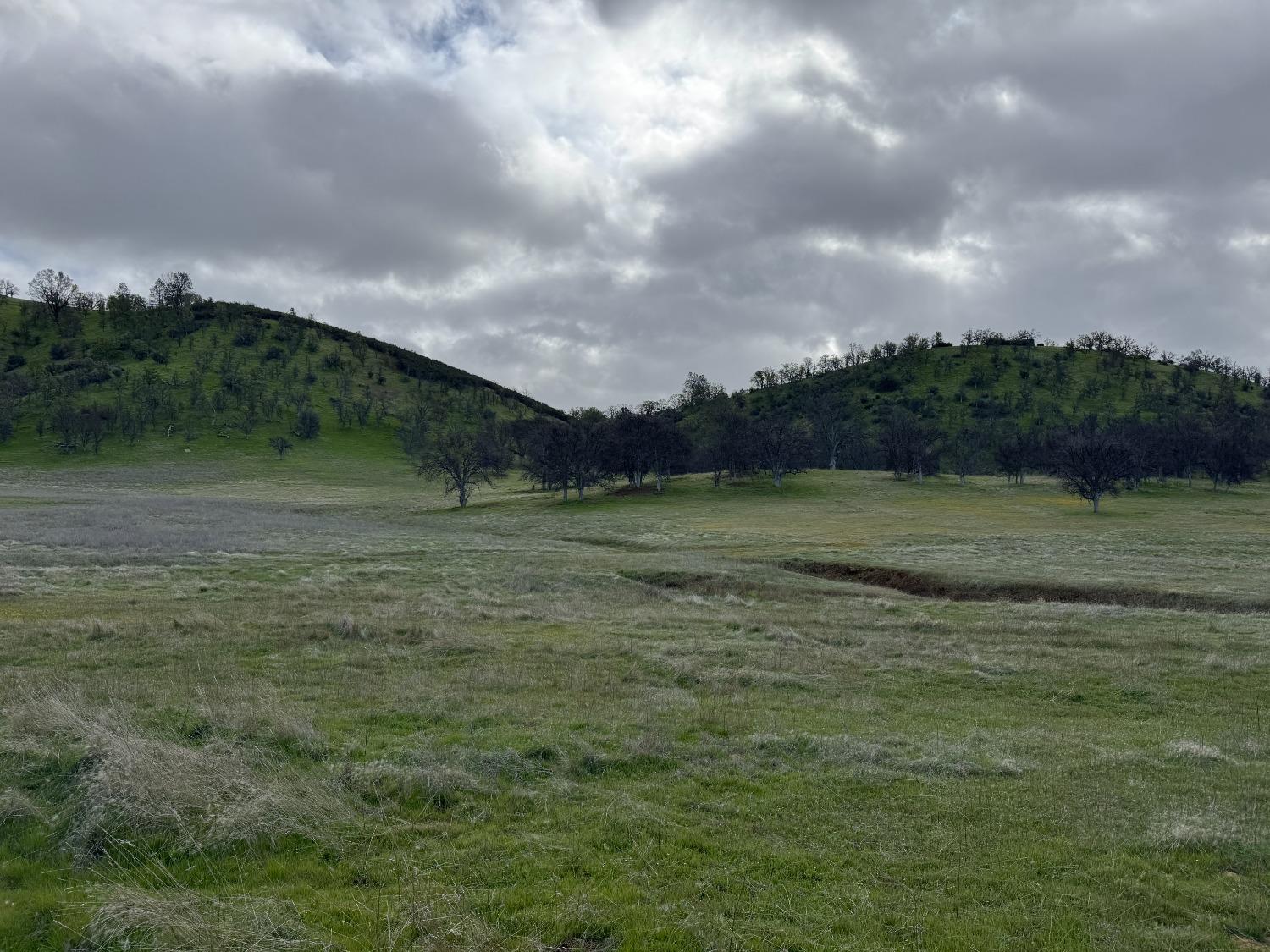 4289 Sites Lodoga Road Stonyford, CA 95979 - Photo 1 of 7