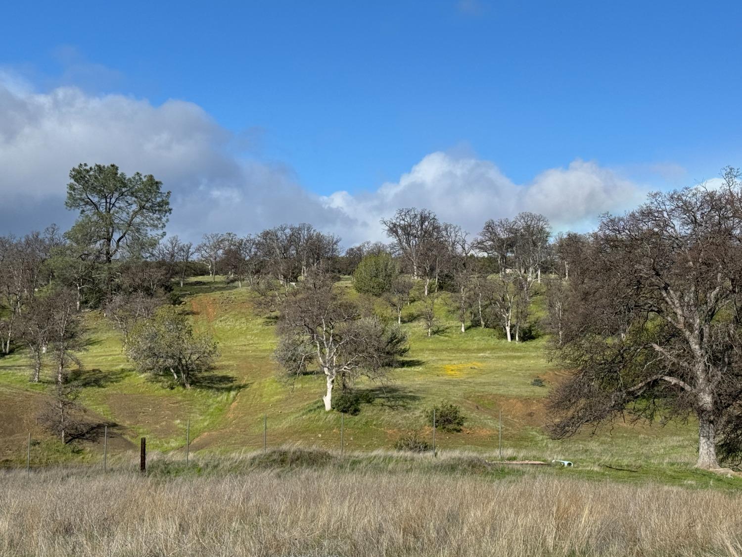 4289 Sites Lodoga Road Stonyford, CA 95979 - Photo 4 of 7