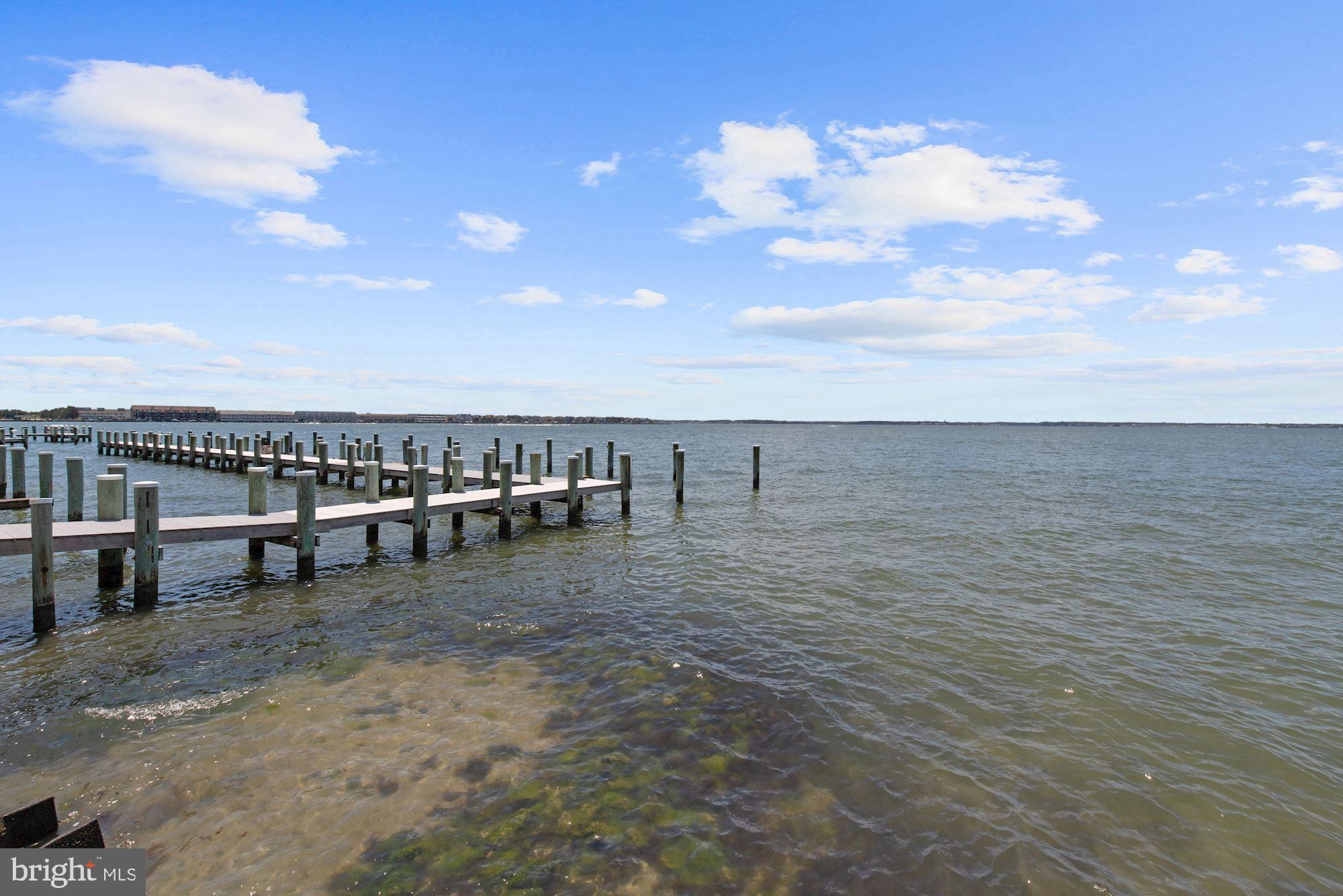 611 Twin Tree Road Ocean City, MD 21842 - Photo 45 of 57 Community Photo