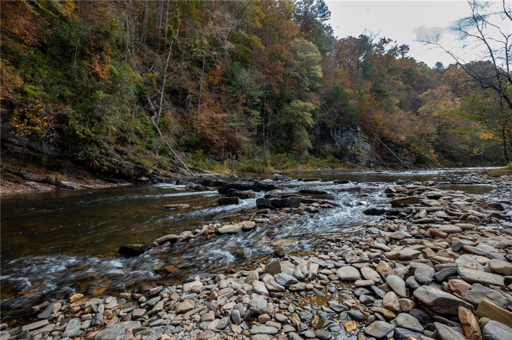 803 Greenwood Circle Ranger, GA 30734 - Photo 11 of 13 a view of a street with lots of trees