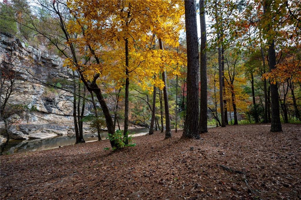 803 Greenwood Circle Ranger, GA 30734 - Photo 13 of 13 a view of a tree in the middle of a yard