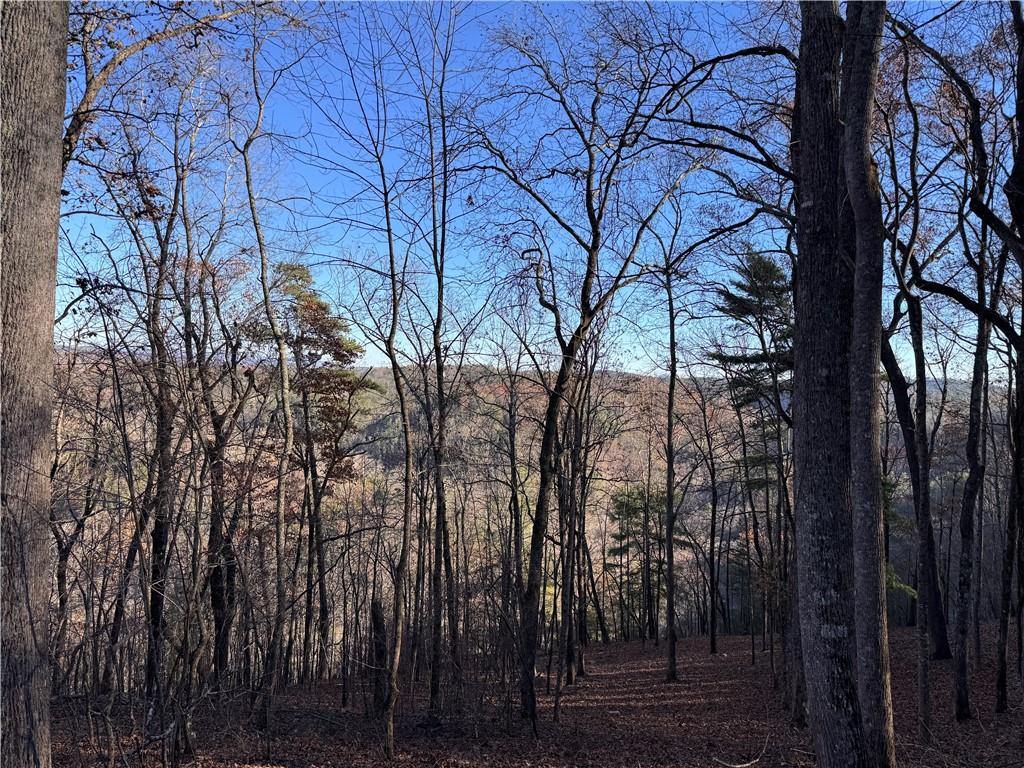 803 Greenwood Circle Ranger, GA 30734 - Photo 2 of 13 a view of a yard with large trees