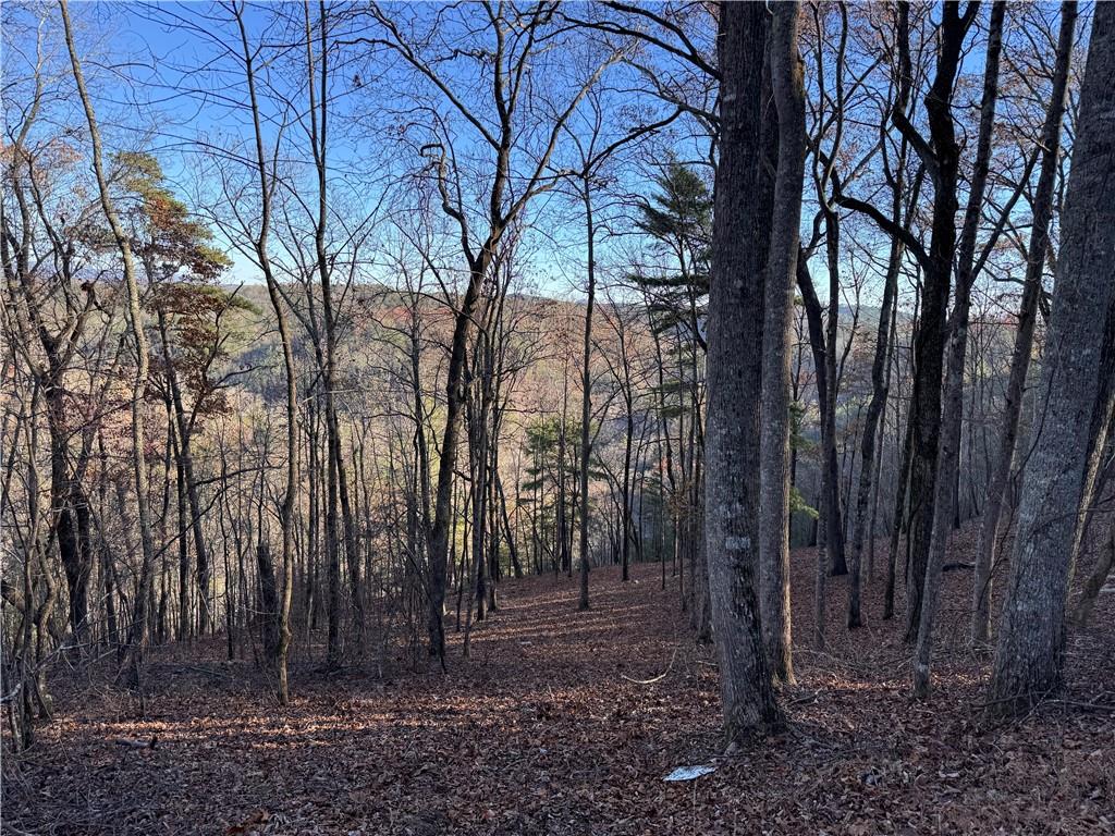 803 Greenwood Circle Ranger, GA 30734 - Photo 3 of 13 a view of outdoor space with lots of trees