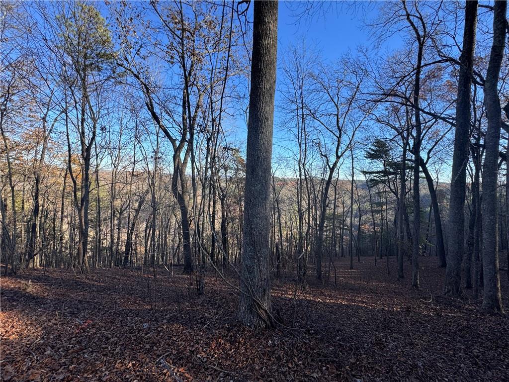 803 Greenwood Circle Ranger, GA 30734 - Photo 4 of 13 a backyard of a house with lots of green space