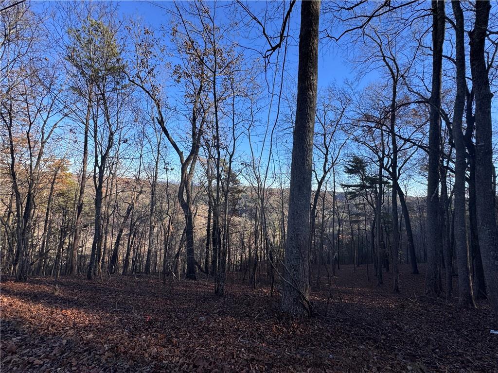 803 Greenwood Circle Ranger, GA 30734 - Photo 5 of 13 a view of backyard with green space