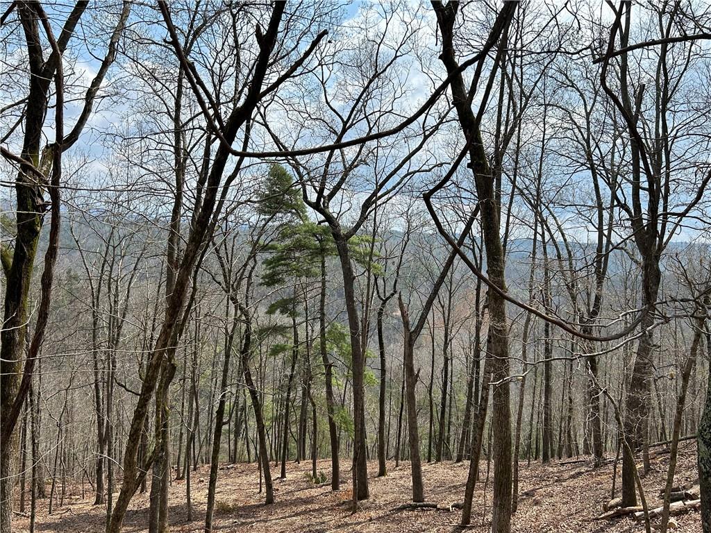 803 Greenwood Circle Ranger, GA 30734 - Photo 7 of 13 a view of a backyard of the house