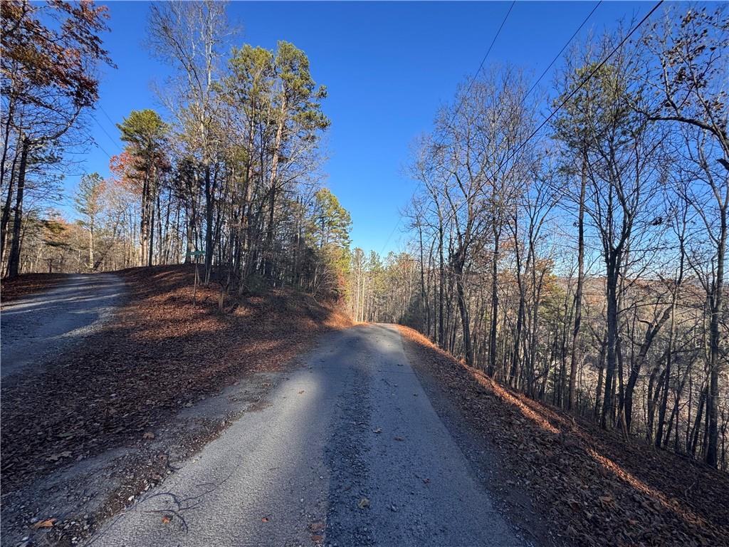803 Greenwood Circle Ranger, GA 30734 - Photo 8 of 13 a view of backyard with green space