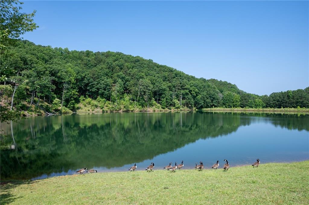 803 Greenwood Circle Ranger, GA 30734 - Photo 10 of 13 a view of a lake with a yard and large trees