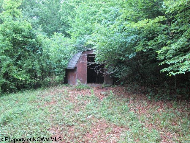 1 Rt Huttonsville, WV 26273 - Photo 14 of 16 Gallery Image 14