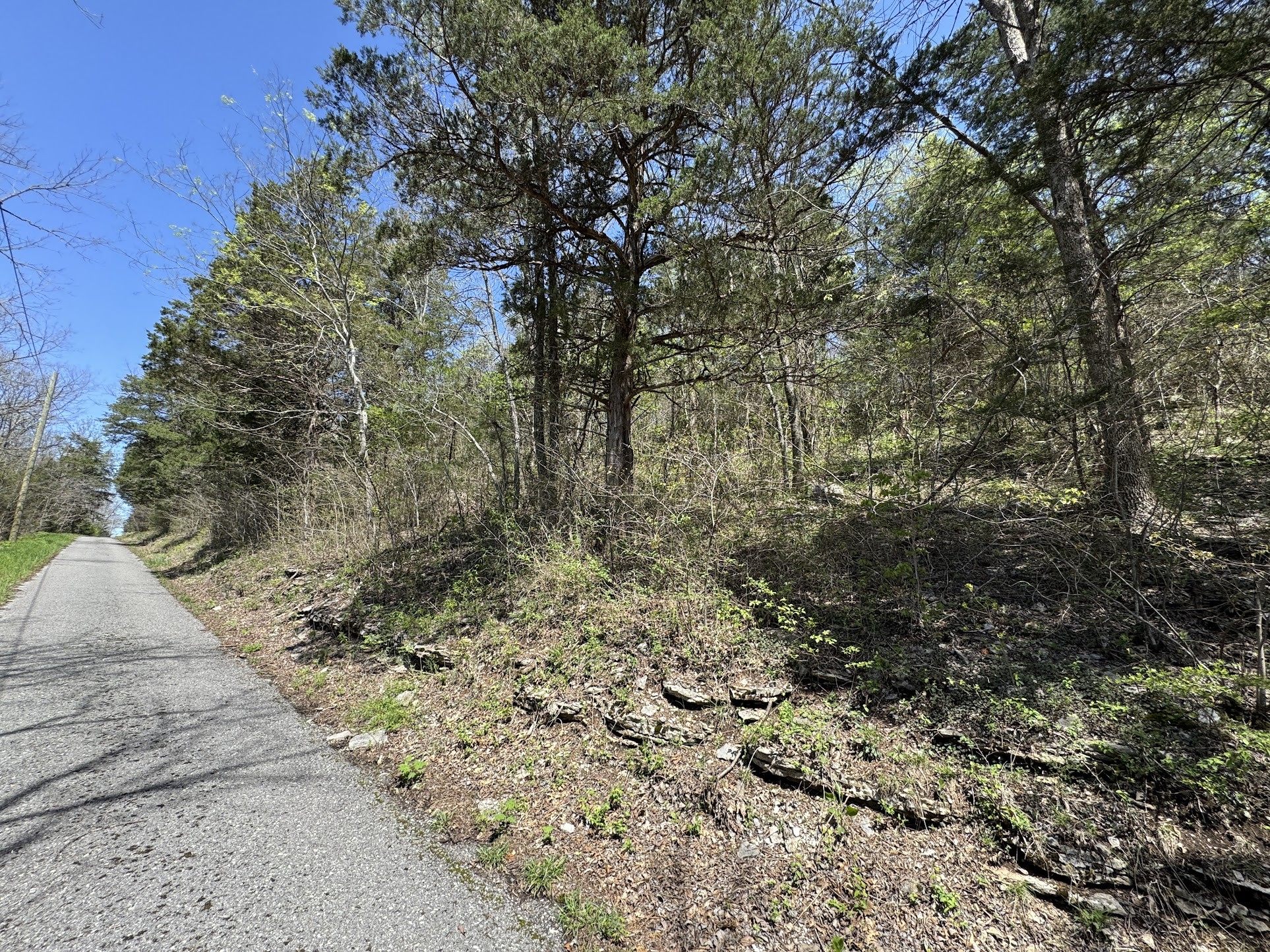 0 Curtis Road Watertown, TN 37184 - Photo 1 of 10 a view of a yard with large trees