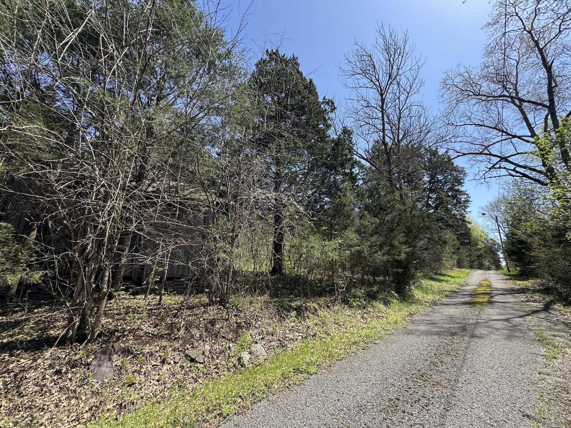 0 Curtis Road Watertown, TN 37184 - Photo 2 of 10 a view of a yard with plants and trees