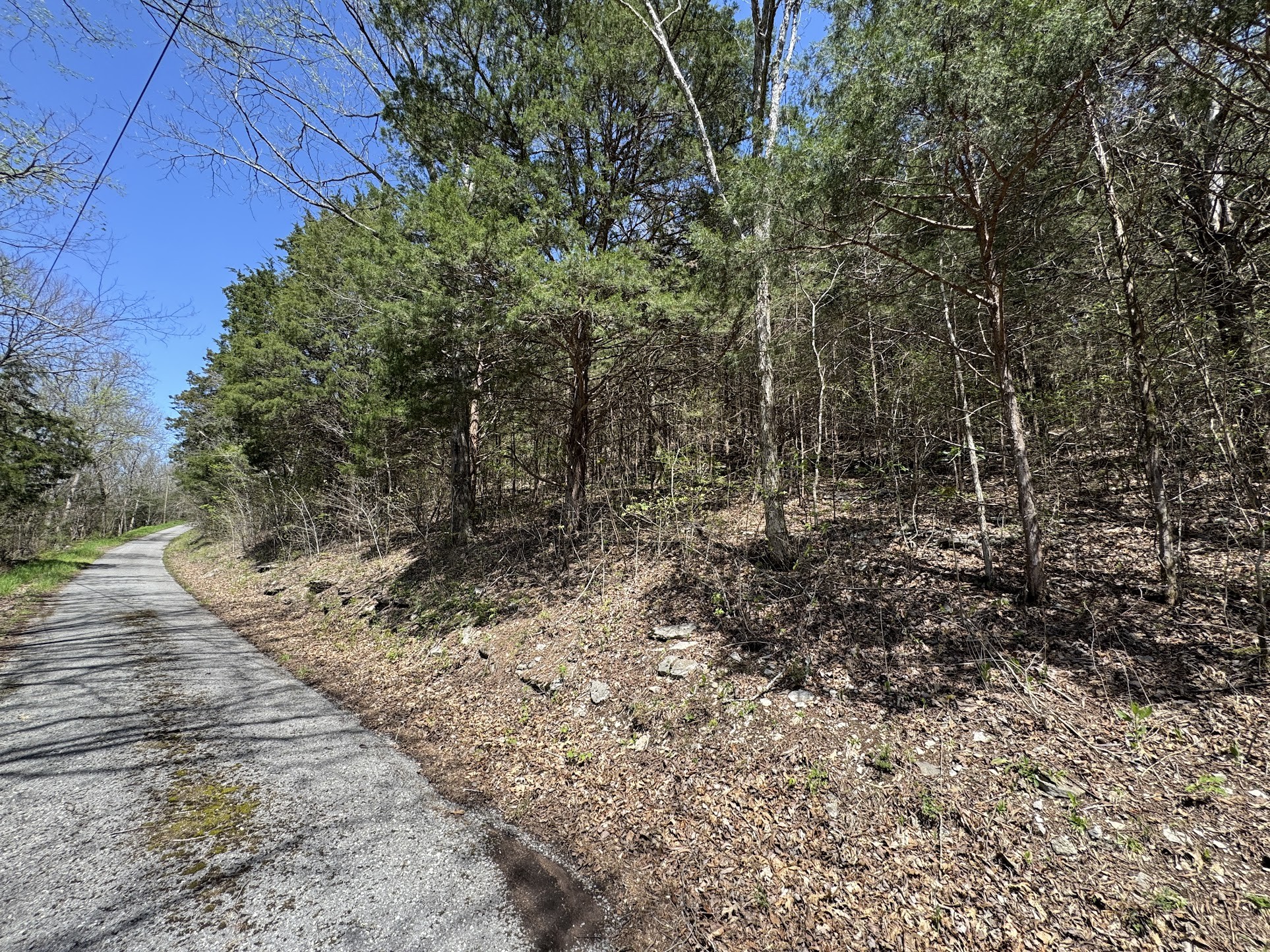 0 Curtis Road Watertown, TN 37184 - Photo 3 of 10 a view of a yard with plants and wooden fence