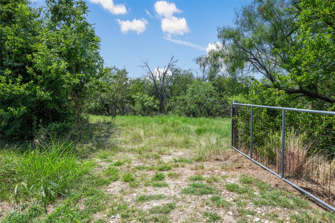 925 1st Street Jarrell, TX 76537 - Photo 2 of 7 a view of a yard with potted plants and large trees
