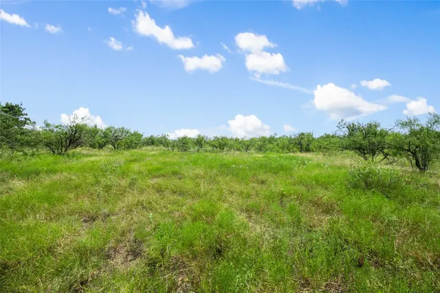 a view of a big yard with lots of green space and mountain view