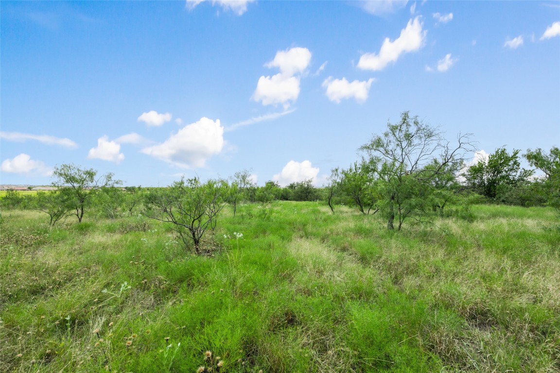 925 1st Street Jarrell, TX 76537 - Photo 7 of 7 a view of a city with lush green forest