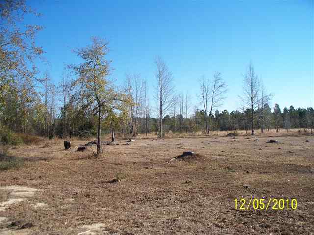 Tbd Cell Tower Road Lane, SC 29564 - Photo 3 of 5