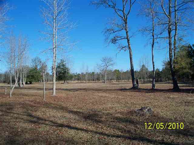 Tbd Cell Tower Road Lane, SC 29564 - Photo 4 of 5