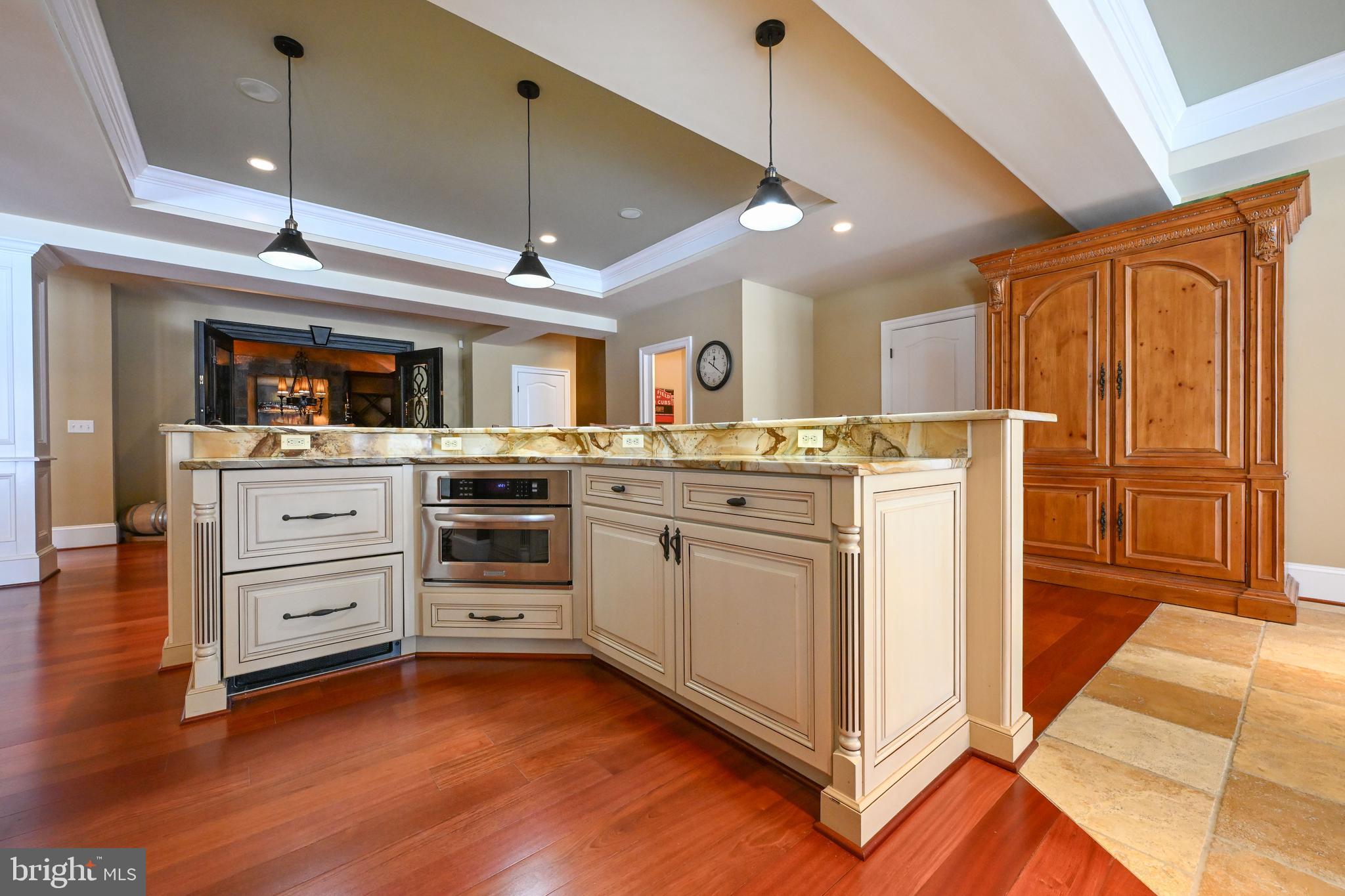 25 Gassaway Lane Edgewater, MD 21037 - Photo 77 of 125 CUSTOM BAR with high-end GRANITE and appliances