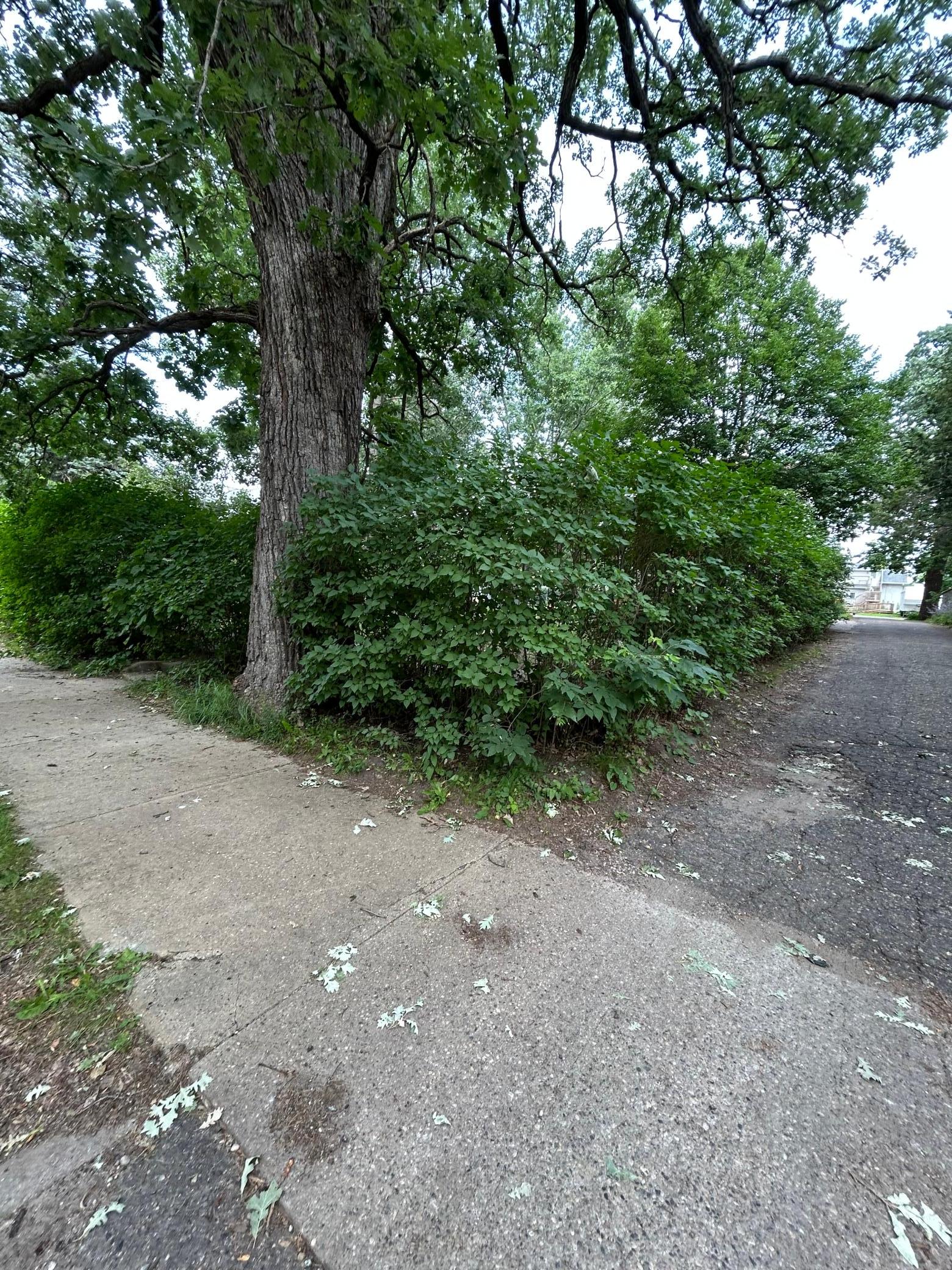 415 7th Avenue East Alexandria, MN 56308 - Photo 38 of 38