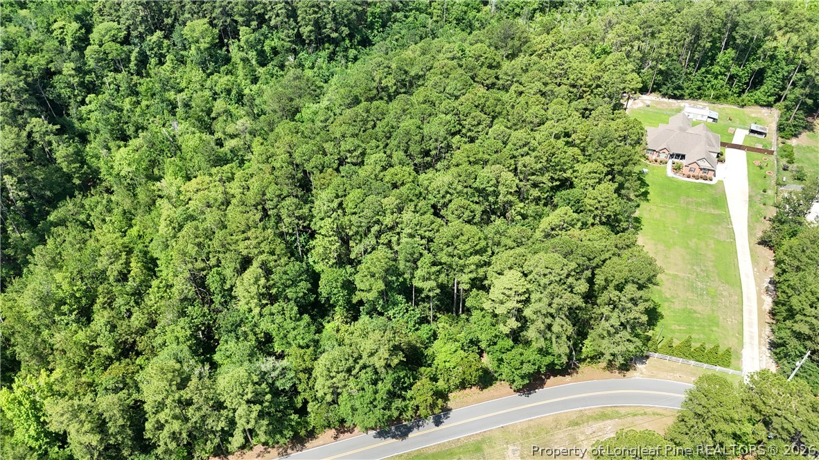 Tbd Myra Road Raeford, NC 28376 - Photo 10 of 23