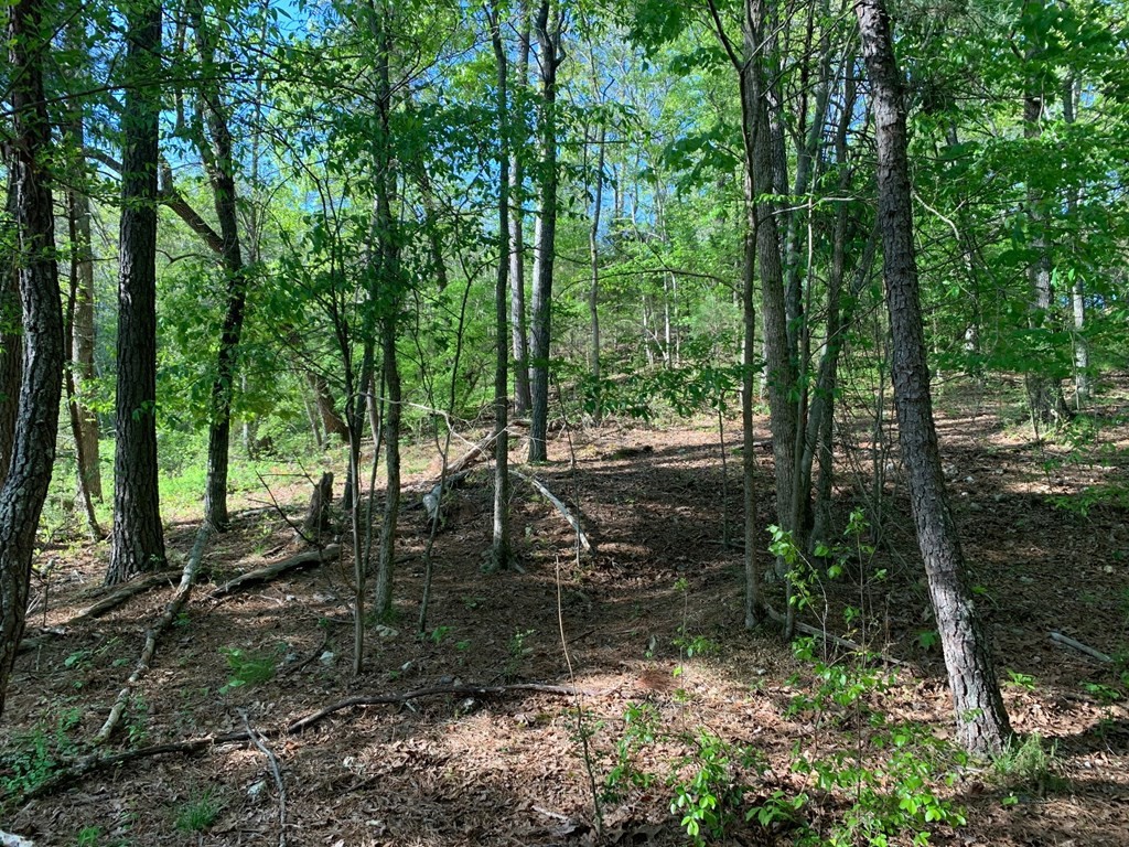 1051 Tom Garrison Road Evensville, TN 37332 - Photo 23 of 23 Gallery Image 23