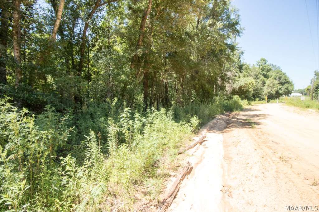37-acres White Oak Road Slocomb, AL 36375 - Photo 20 of 24 Gallery Image 20