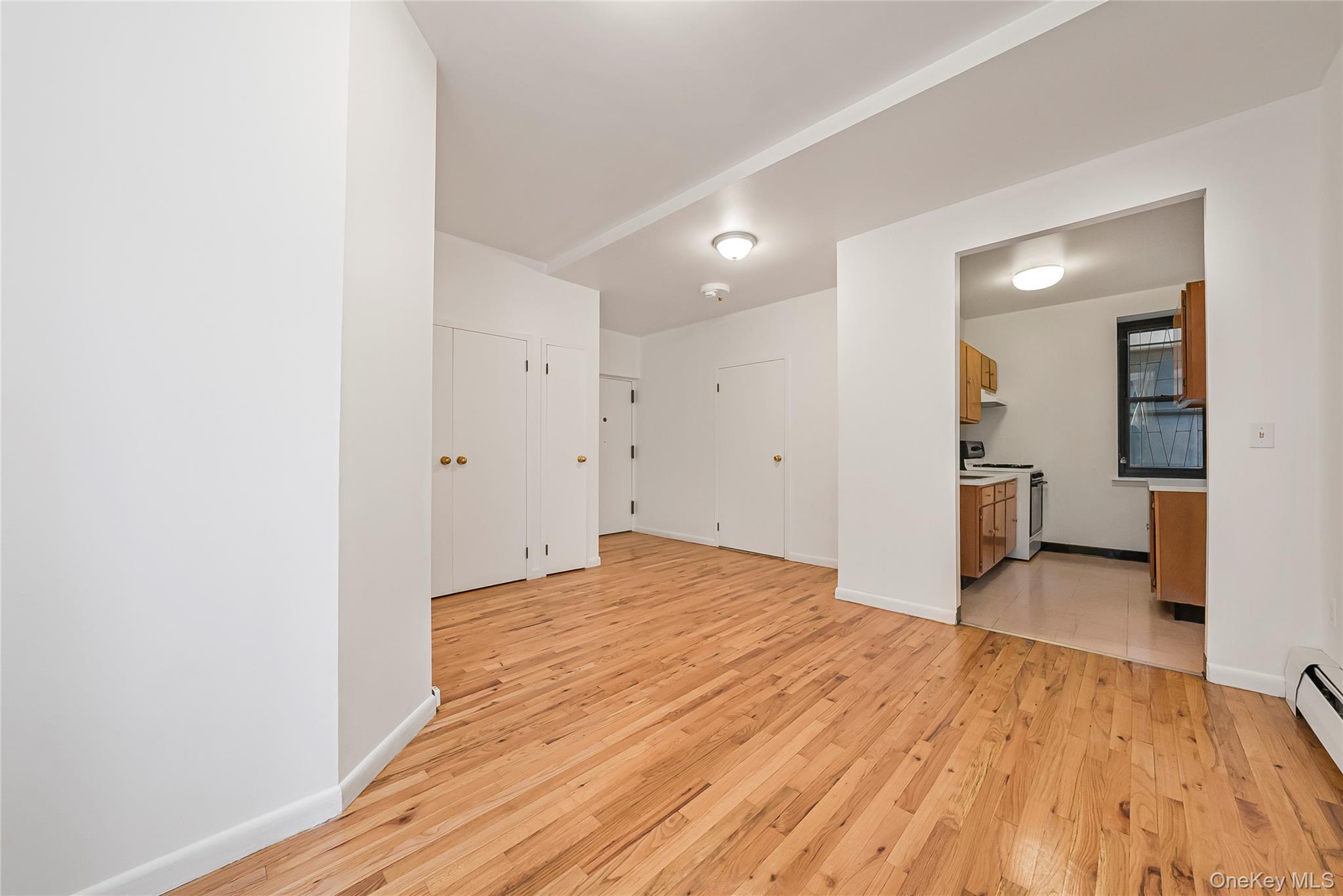 17 East 131st Street, Unit 1A Manhattan, NY 10037 - Photo 3 of 14 a big room with wooden floor and a bathroom