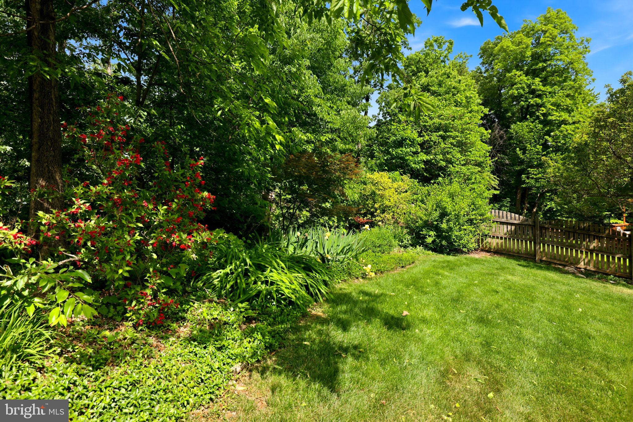 813 Duncan Place Southeast Leesburg, VA 20175 - Photo 79 of 90 Backyard View
