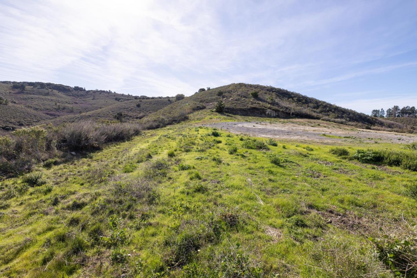 8282 Monterra Ranch Road Monterey, CA 93940 - Photo 12 of 34 a view of a field with a tree in the background