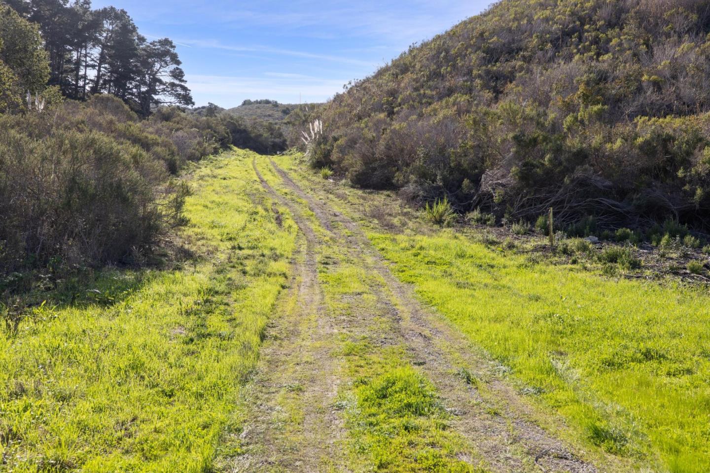 8282 Monterra Ranch Road Monterey, CA 93940 - Photo 10 of 34 a view of yard with swimming pool