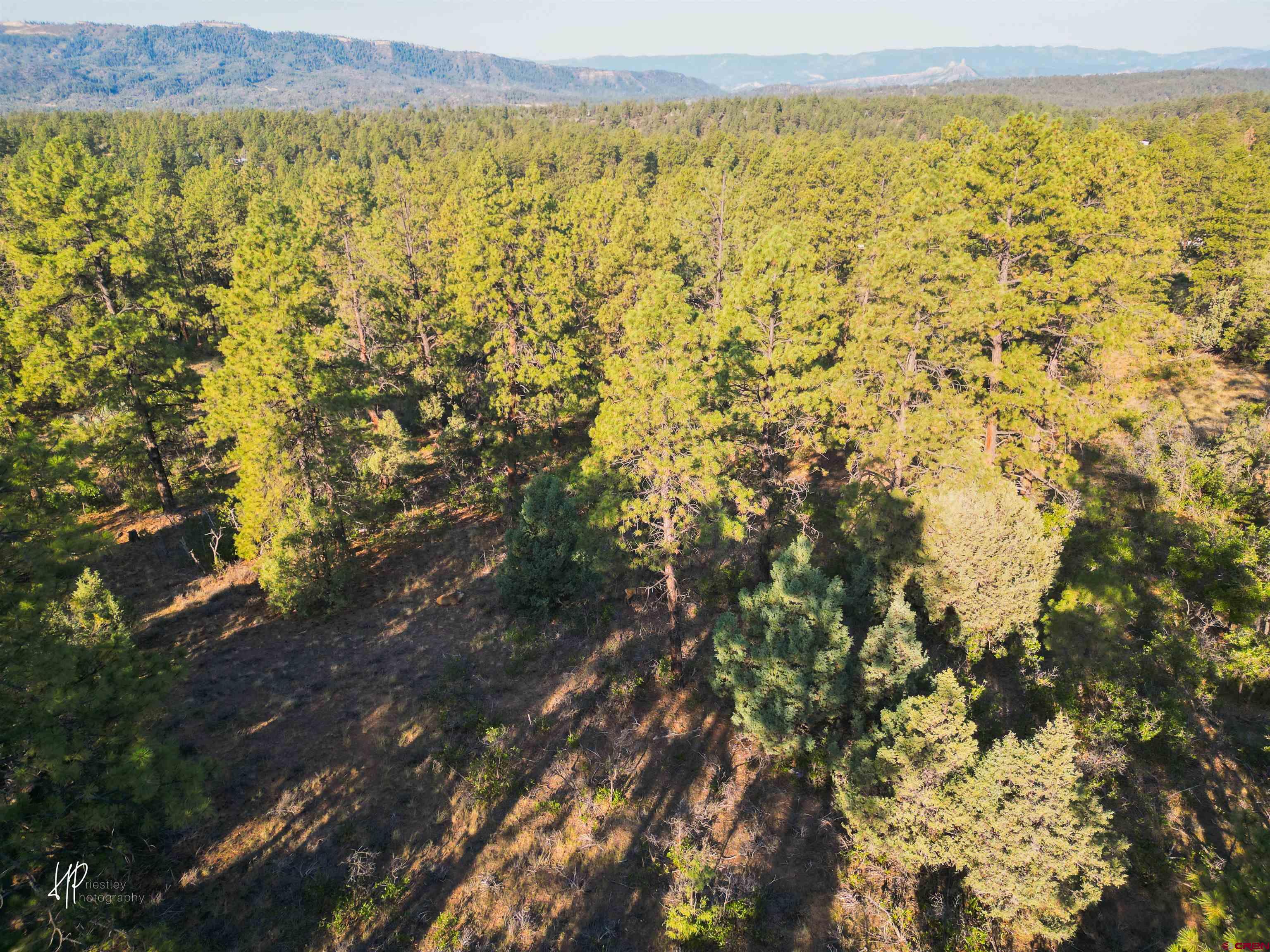 326 Justin's Road Pagosa Springs, CO 81147 - Photo 13 of 33 a view of an outdoor space and mountain