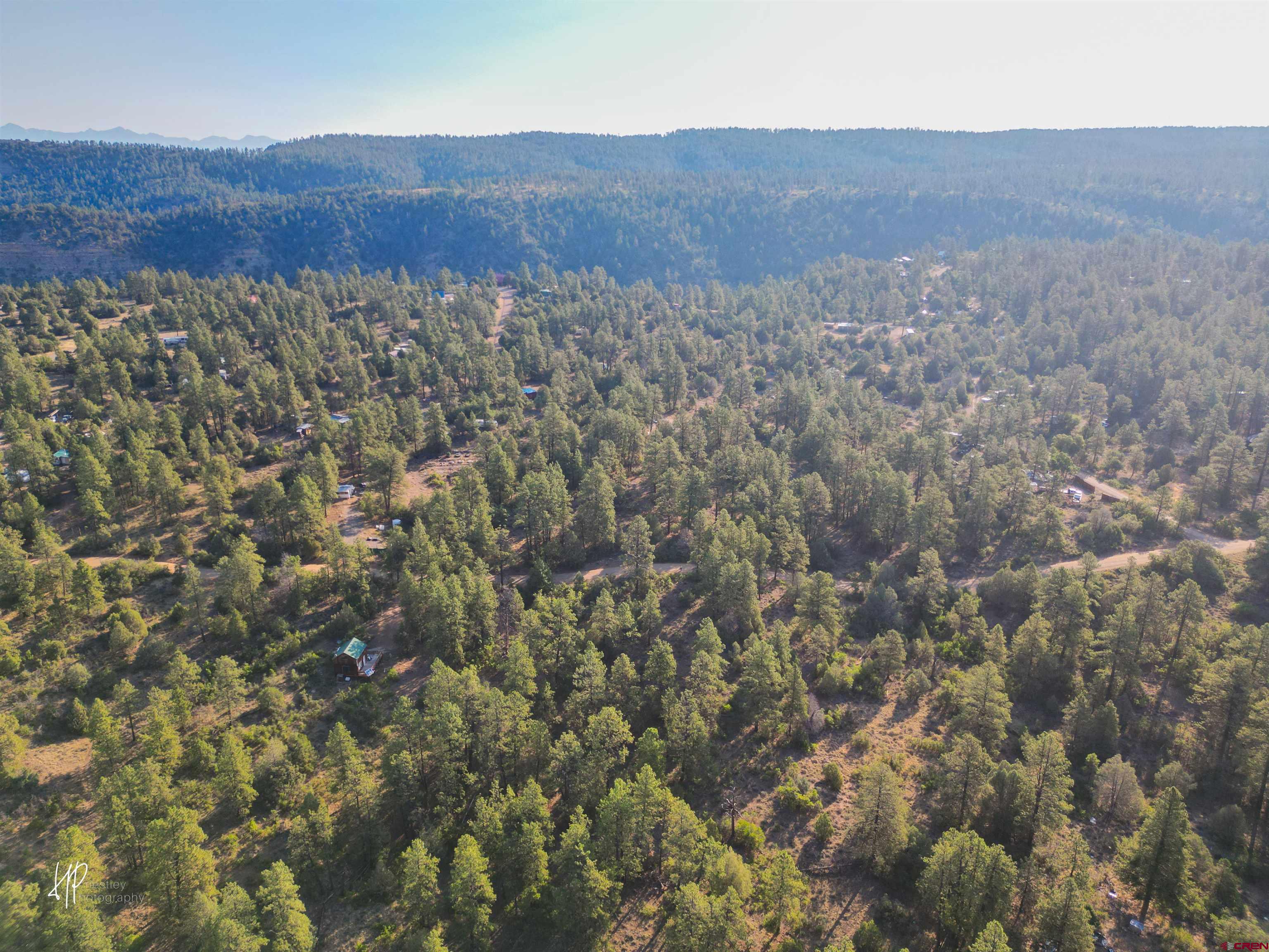 326 Justin's Road Pagosa Springs, CO 81147 - Photo 16 of 33 a view of a lush green field