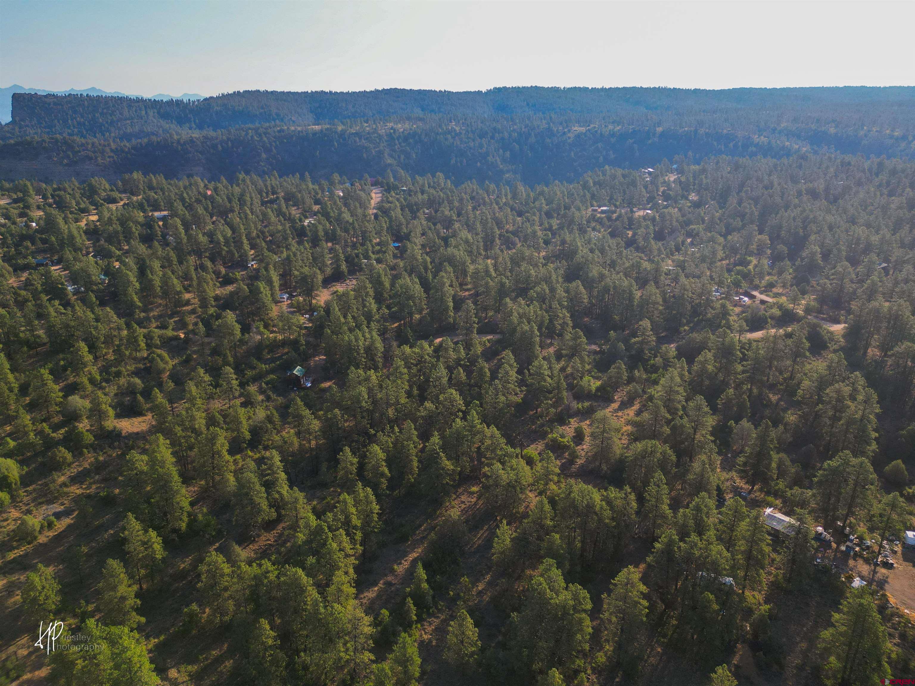 326 Justin's Road Pagosa Springs, CO 81147 - Photo 17 of 33 a view of a and mountain in a field