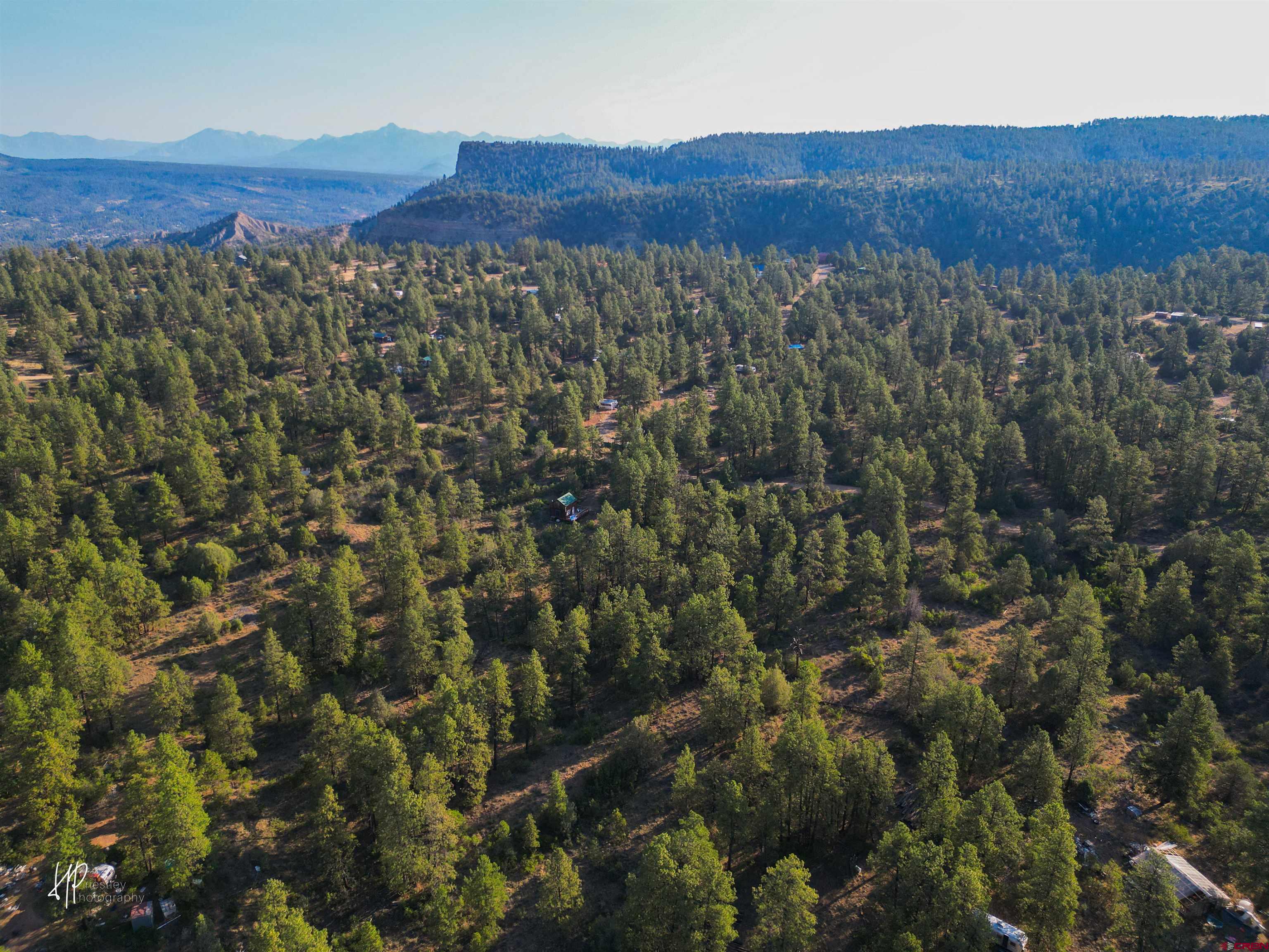 326 Justin's Road Pagosa Springs, CO 81147 - Photo 18 of 33 a view of a lush green forest with a mountain and trees