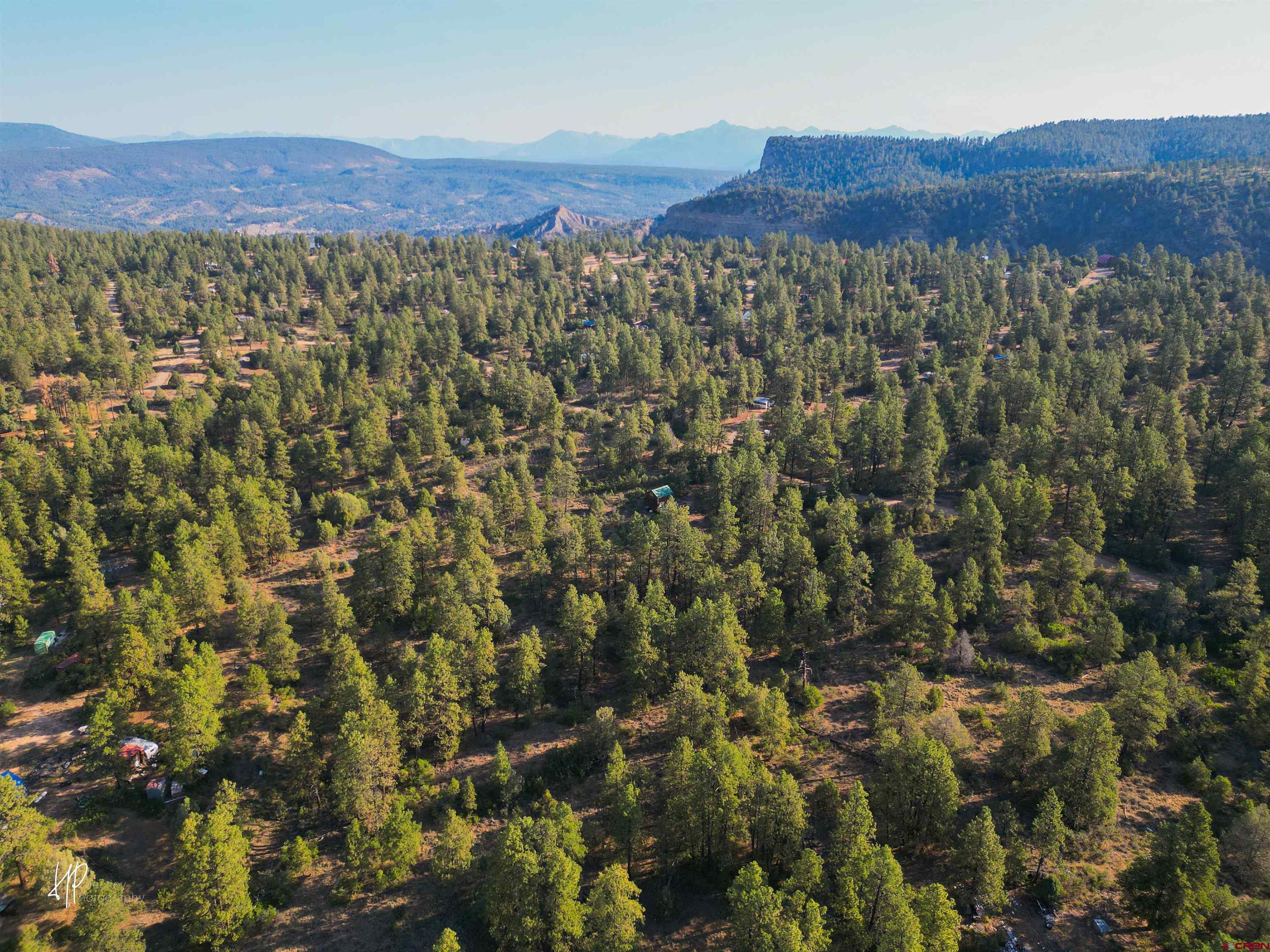 326 Justin's Road Pagosa Springs, CO 81147 - Photo 19 of 33 a view of a lush green field