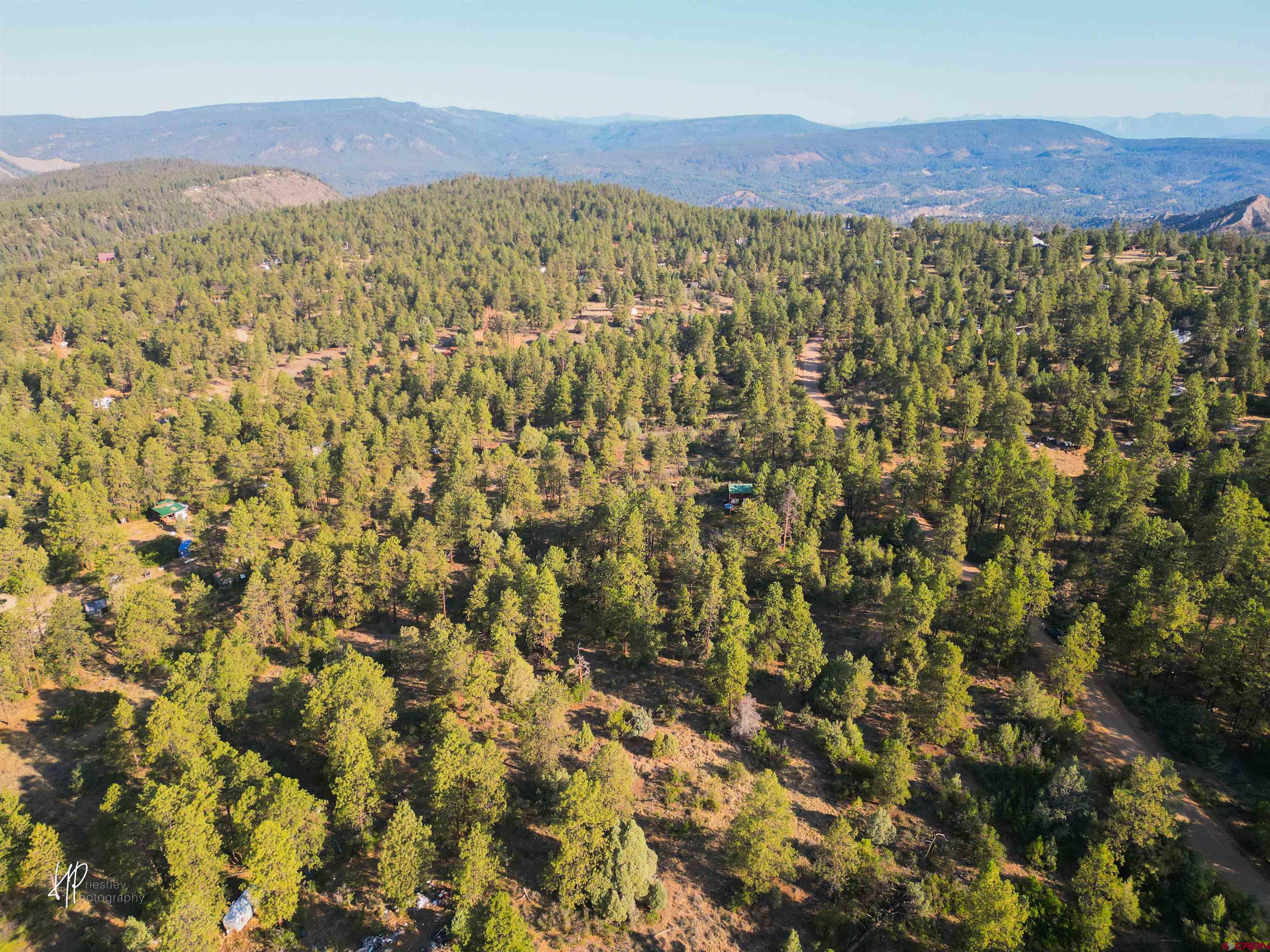 326 Justin's Road Pagosa Springs, CO 81147 - Photo 20 of 33 a view of a lush green hillside and a mountain