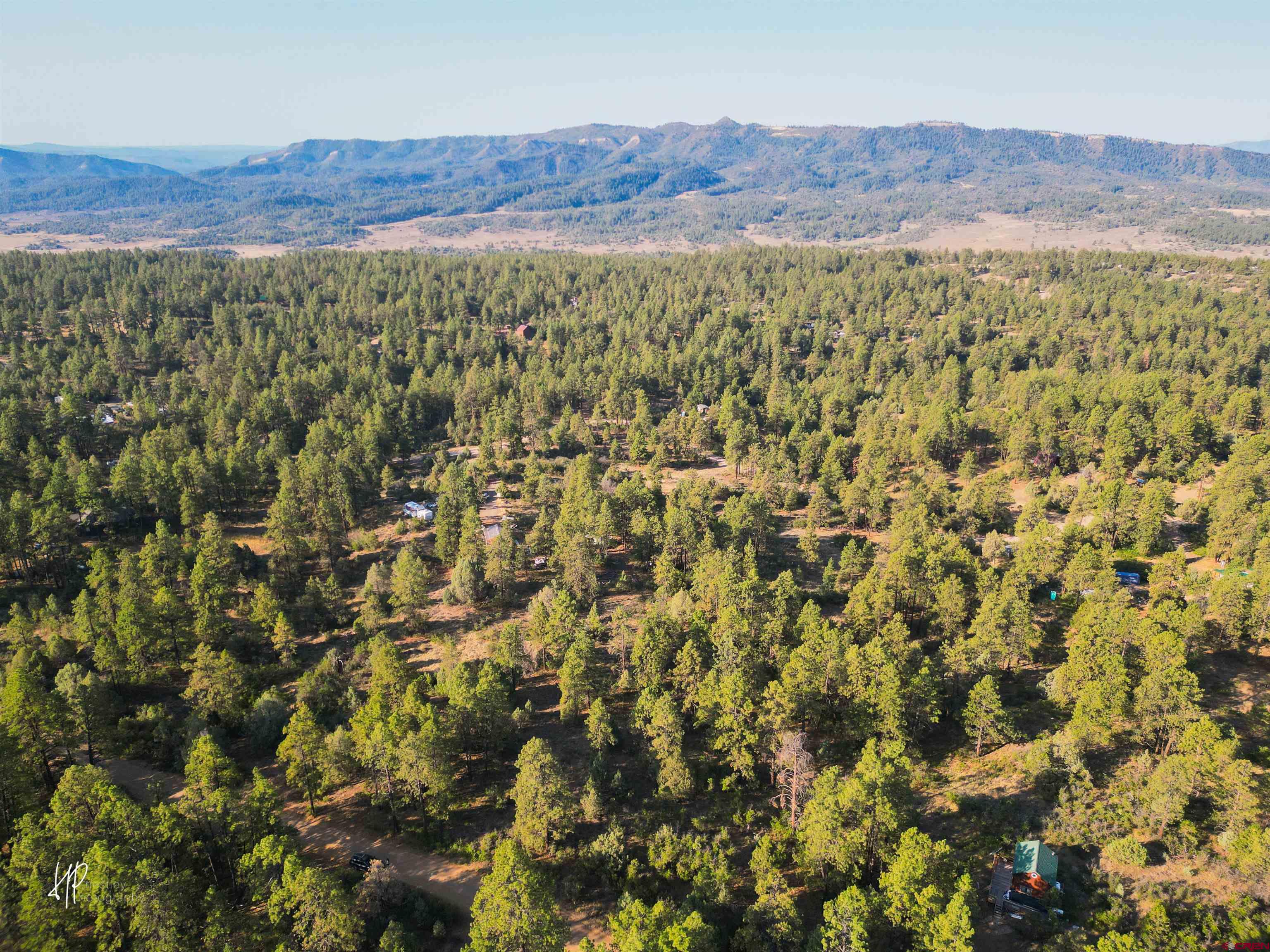 326 Justin's Road Pagosa Springs, CO 81147 - Photo 23 of 33 a view of a lush green field
