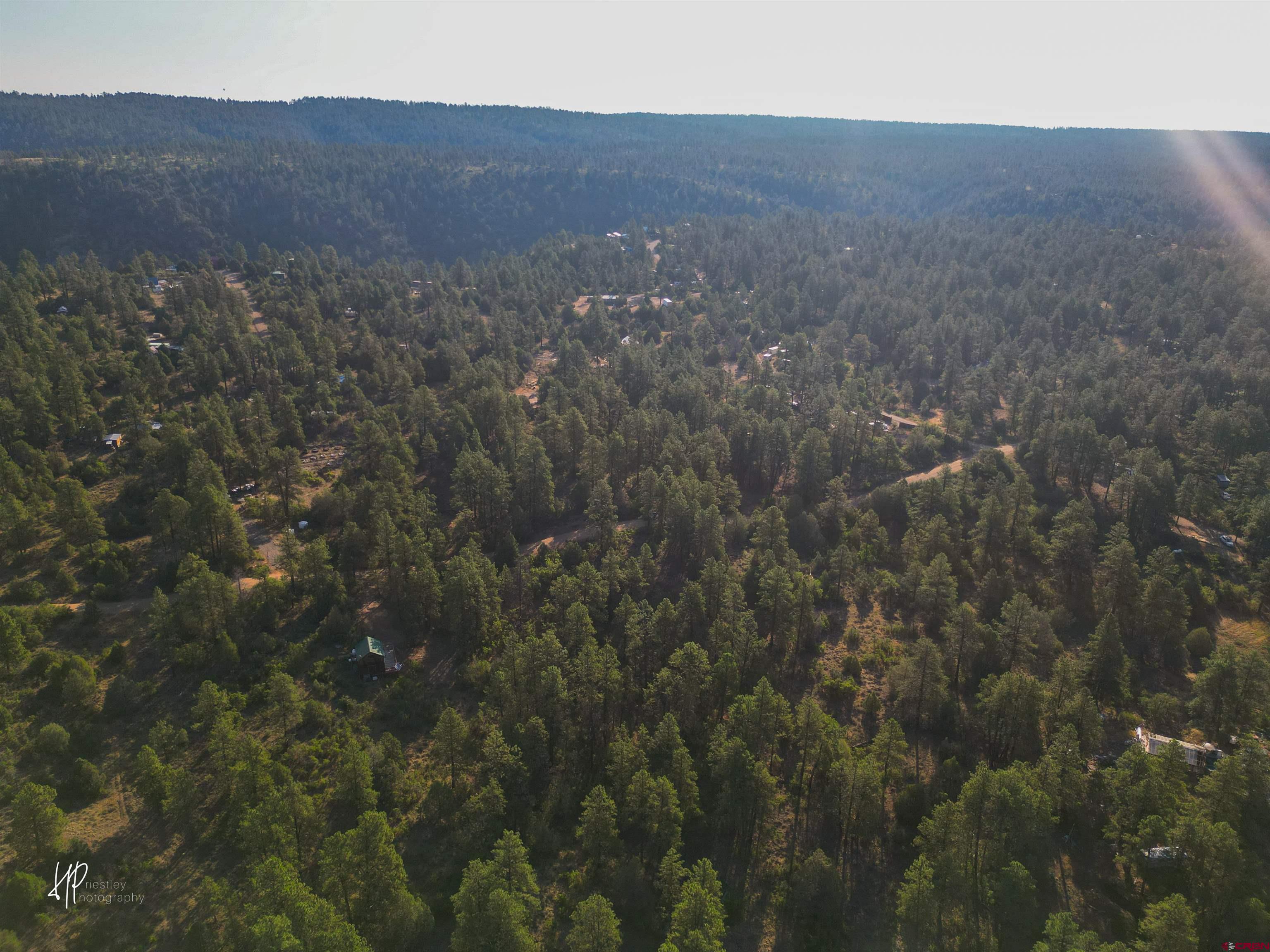 326 Justin's Road Pagosa Springs, CO 81147 - Photo 25 of 33 a view of a large mountain with in middle of forest