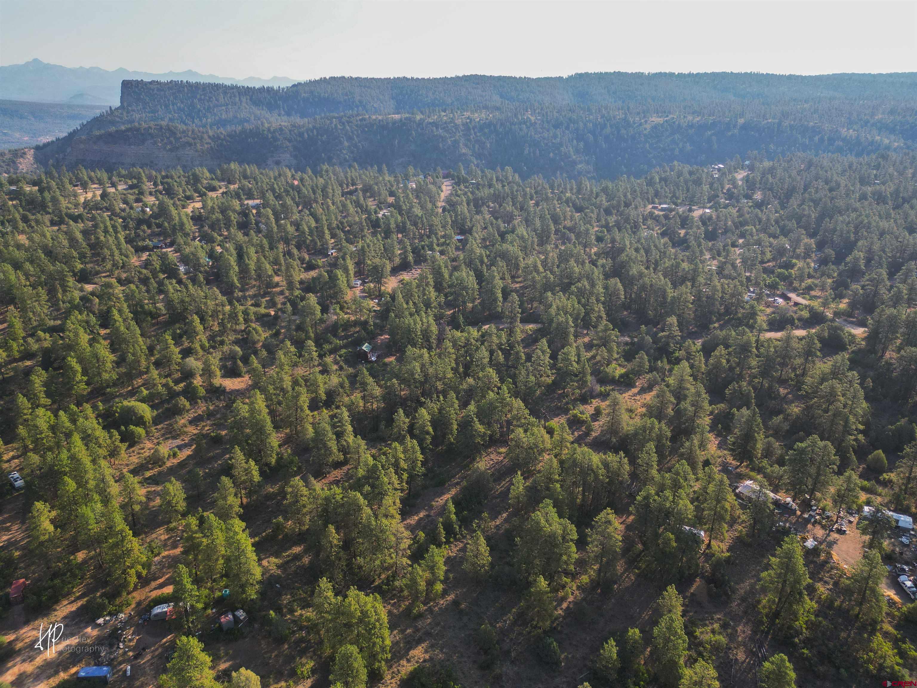 326 Justin's Road Pagosa Springs, CO 81147 - Photo 26 of 33 a view of a lush green field